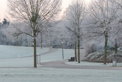 Ein Wintermorgen im Park