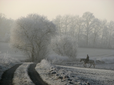 Frostiger Ausritt