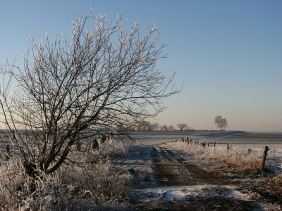 Winterweg