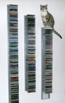 Cat on CDs