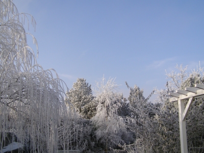 Garten im Winter