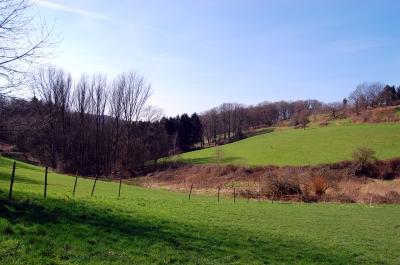 grüner Winter im Bergischen Land