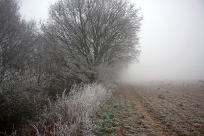 Der Nebel kommt