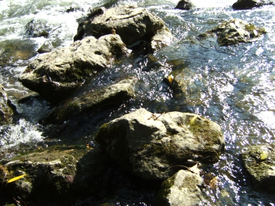 Felsen im Fluß