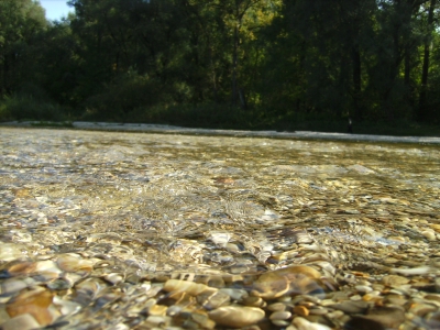 Steine im flachen Wasser