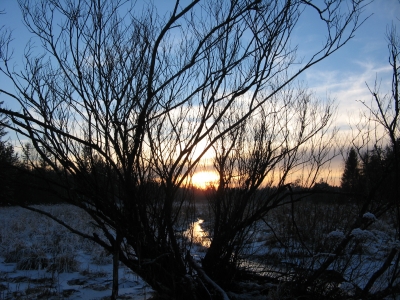 Winterlicher Sonnenuntergang im Wurzacher Ried