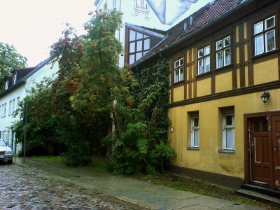 Spandauer Altstadt