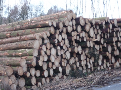 Holzstapel