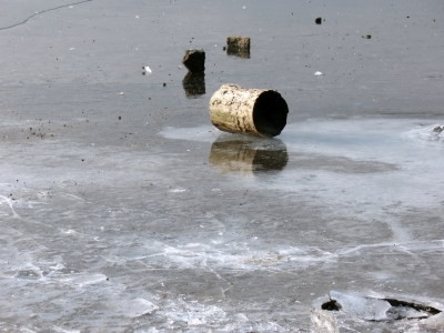 Brucher Talsperre Baumstamm auf dem Eis