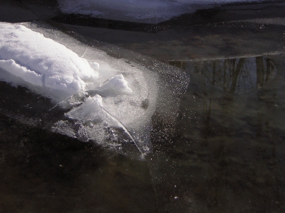 Eisscholle auf Schwarzwasser