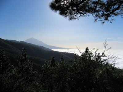 Teneriffa, Blick auf Teide und Passatwolken