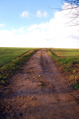 Der Weg nach oben