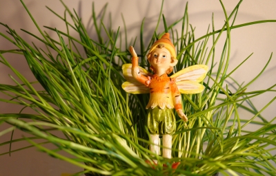 Der Elf im Gras
