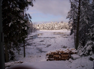 Winter am kleinen See