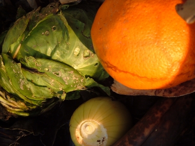 Weißkohl, Apfelsine, Zwiebel und Banane