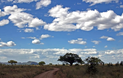 Serengeti heißt unendlich weites Land