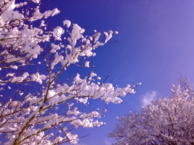 Winter weißblau