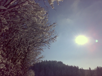 Wintersonne4