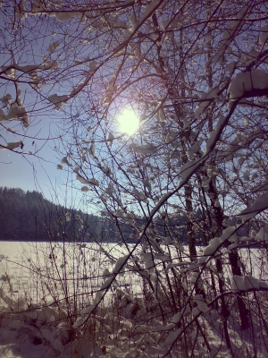 Wintersonne2