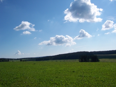 Landschaft am Lipnostausee