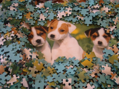 Hunde-Puzzle
