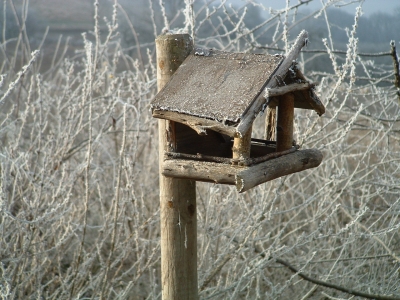 Vogelhaus im Rauhreif