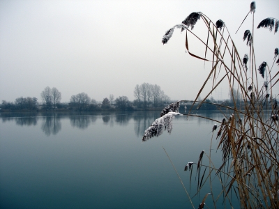 Winterlicher  Baggersee