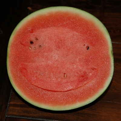 Lachende Melone