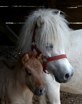 Mutter und Tochter