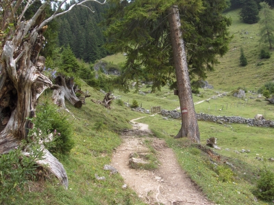 Wanderung am Hochkönig