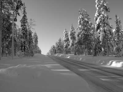 Winter in Lappland