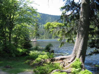 Arbersee im Bayerischen Wald