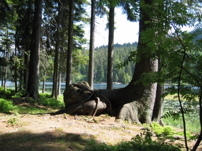 Arbersee im Bayerischen Wald