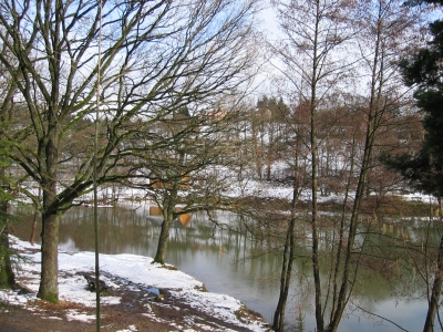 Winter in Freudenberg Am Weiher