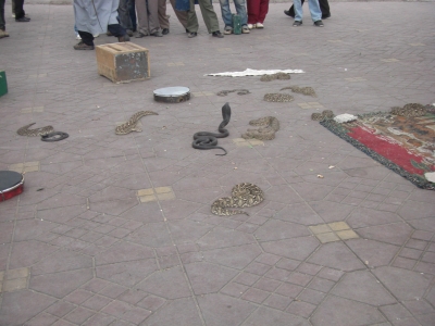 Gauklerplatz in Marrakesch / 2