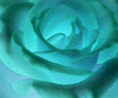 Kühle Rose