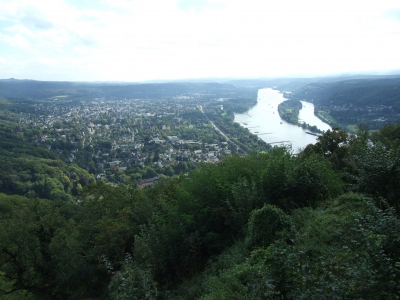 Blick auf den Rhein I