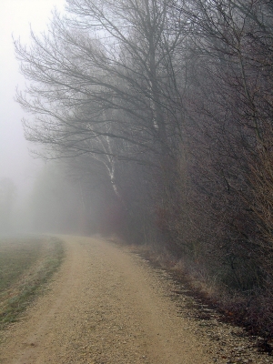 Feldweg  Spaziergang im Nebel 5