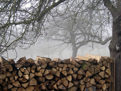 Gut Holz  Spaziergang im Nebel 6