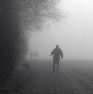 "Unheimliche Begegnung"  Spaziergang im Nebel 7