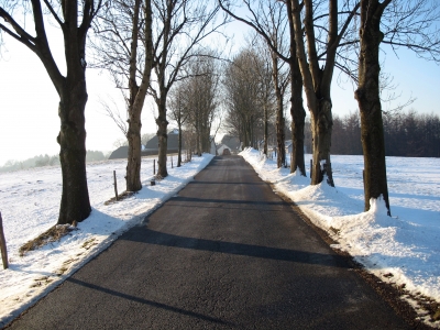 Straße im letzten Winter
