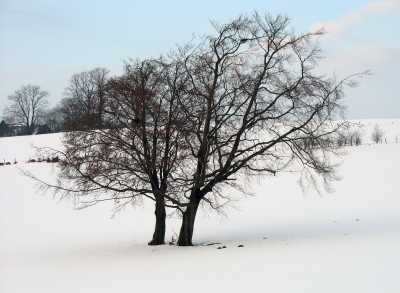 Das war noch ein Winter