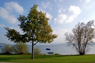 Herbstliche Ruhe am Bodensee