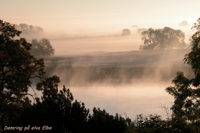 Nebel auf der Elbe