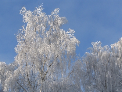 Winter in Bayern