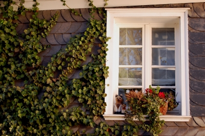 Fensterimpression Bergisches Schieferhaus