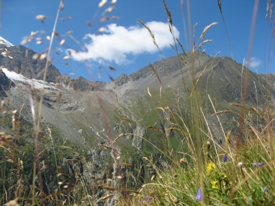 Berglandschaft