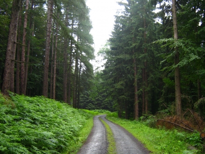 Das wandern ist des Müllers Lust