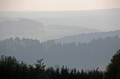 Schwarzwald-Weite