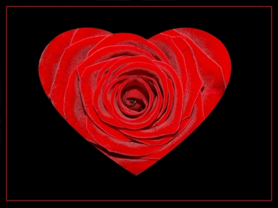 Das Herz einer Rose...
